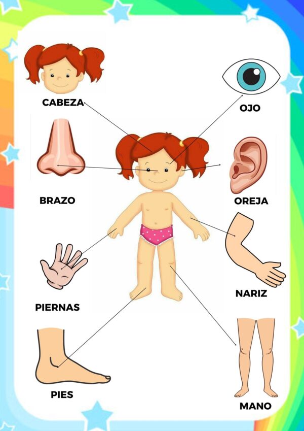 Cuadernillo de Estimulación Temprana :(1-4 años) - Imagen 5